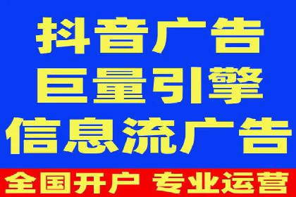 电商平台信息流广告的投放策略与效果评估案例